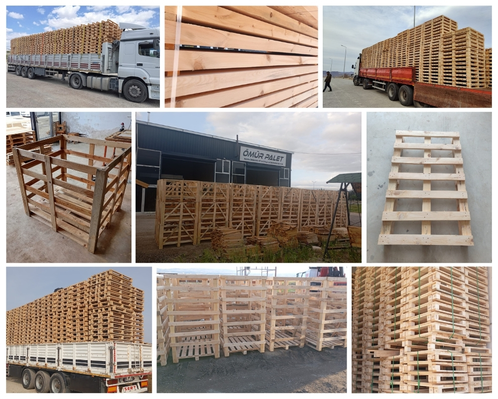 Netherbury Wooden Pallets, Buy Wooden Pallets Wholesale